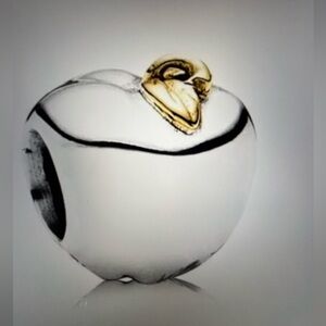 Pandora 925 Silver 14k Gold Charm